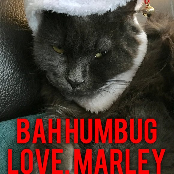 Reasonable Offers Welcome. - Picture 4 of 6